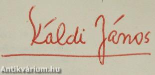 A hosszú esők ideje (dedikált példány)