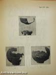 Dolgozatok a M. Kir. Ferencz József Tudományegyetem Archaeologiai Intézetéből 1932. VIII/1-2.