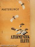 A termeszek élete