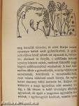 Daphnisz és Chloé
