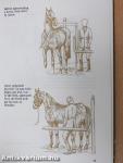 The Horse and Horsemanship