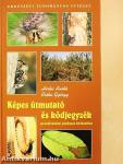 Képes útmutató és kódjegyzék az erdővédelmi jelzőlapok kitöltéséhez