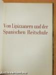 Von Lipizzanern und der Spanischen Reitschule