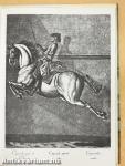 Von Lipizzanern und der Spanischen Reitschule
