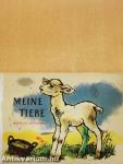Meine Tiere