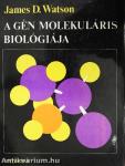A gén molekuláris biológiája
