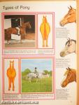 My Learn to Ride Book