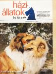 Háziállatok és társaik