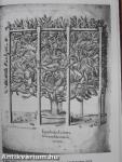 Debreceni pozsgás-tár 2000. 1-4./Debreceni Kaktuszgyűjtők Közhasznú Egyesülete Maglistája 2000-2001.