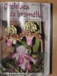 Debreceni pozsgástár 2008. 1-4./MKOE Közlemények 2008/1-2., 2., 3./MKOE Magjegyzék 2008./Orchidea és bromélia 2008/1-4./Orchidea 2003/2.