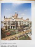 The Hungarian Parliament