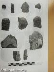 Lithic Implements and the Circulation of Raw Materials in the Great Hungarian Plain During the Late Neolithic Period