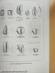 Lithic Implements and the Circulation of Raw Materials in the Great Hungarian Plain During the Late Neolithic Period