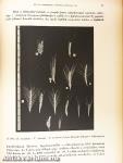 A Magyar Tudományos Akadémia Agrártudományok Osztályának Közleményei 1955/1-2.