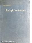 Zoologie im Grundriss