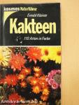 Kakteen
