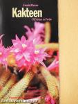 Kakteen