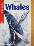 Whales