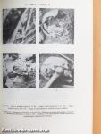 Az 1526-os mohácsi csata 1976-ban feltárt tömegsírjainak embertani vizsgálata