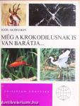 Még a krokodilusnak is van barátja...