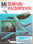 Bálnák és delfinek