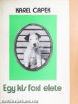 Egy kis foxi élete