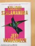 Kolibri szalamandra