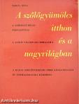 A szőlőgyümölcs itthon és a nagyvilágban