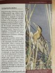 Állattenyésztés, génmegőrzés és természeti értékőrzés a Kiskunságban