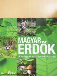 Magyar erdők