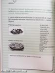 Agytorna 2.