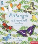 Pillangót szárnyáról