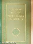 Rugyin/Nemesi fészek/A küszöbön