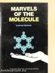 Marvels of the molecule
