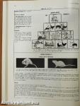 Feeds & Nutrition