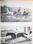 A magyar lóversenyzés története (1827-1977)
