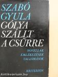 Gólya szállt a csűrre