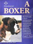 A boxer