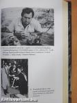 Háború a szavannán