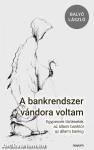 A bankrendszer vándora voltam