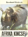 Afrika kincsei