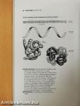 Longman Botany Handbook