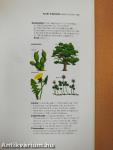 Longman Botany Handbook