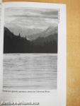 In the Shadow of Denali