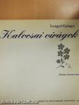 Kalocsai virágok
