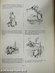 Das dicke Busch-Buch
