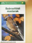 Szárazföldi madarak