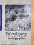 Vakvágány