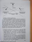 A pedagógus a szervezetben - Sajátos pedagógiai ismeretek 4.