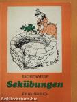 Sehübungen